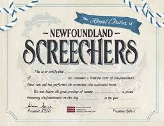 Newfoundland Screechers | Screecher View